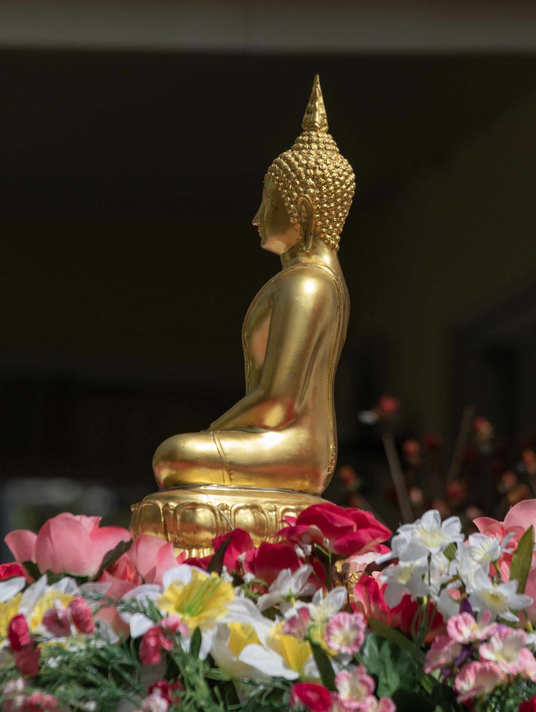 Seated gold buddha statue, side view.